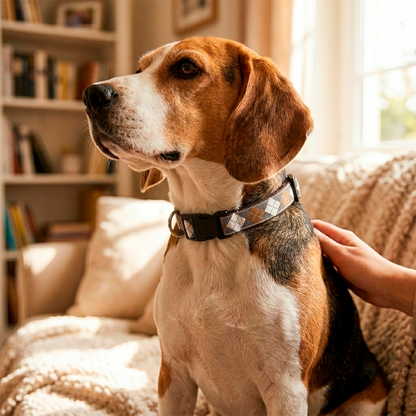 Collar para mascotas